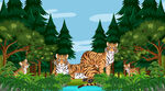 热带雨林老虎家族