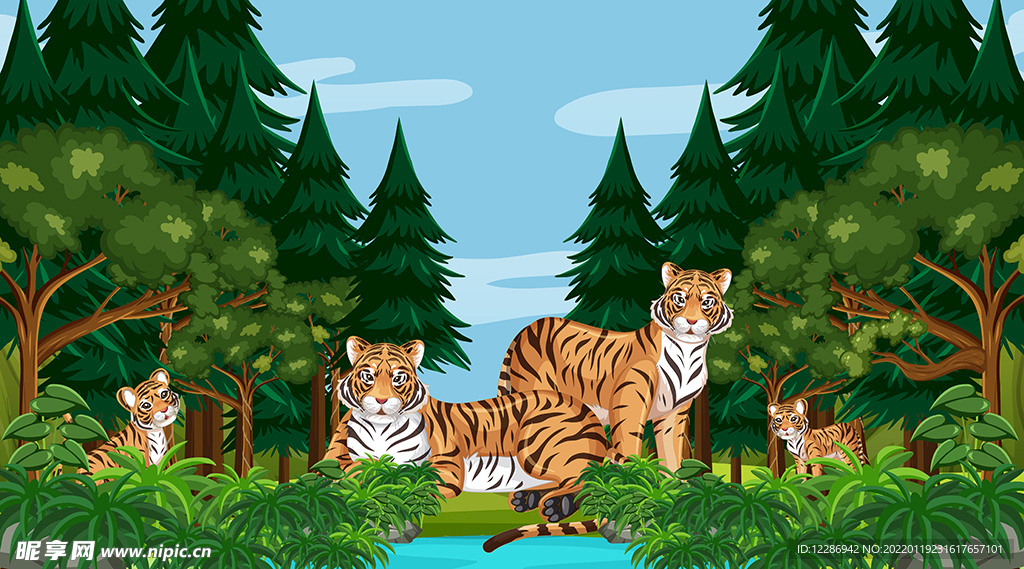 热带雨林老虎家族