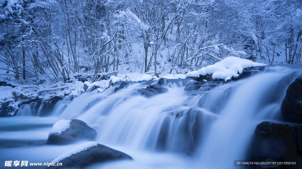 冬雪