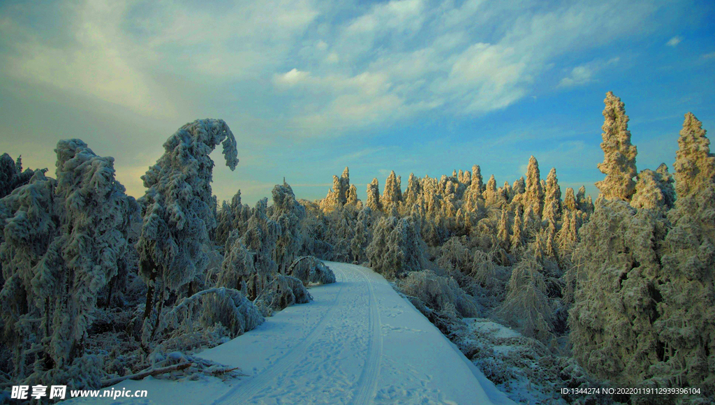 冬天雪景