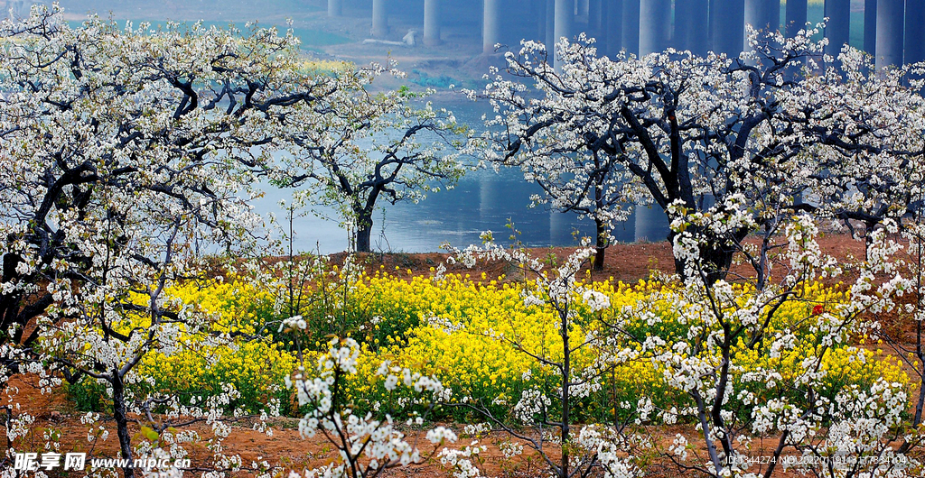 春天风景