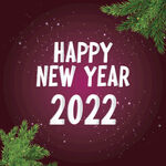 2022年字体 