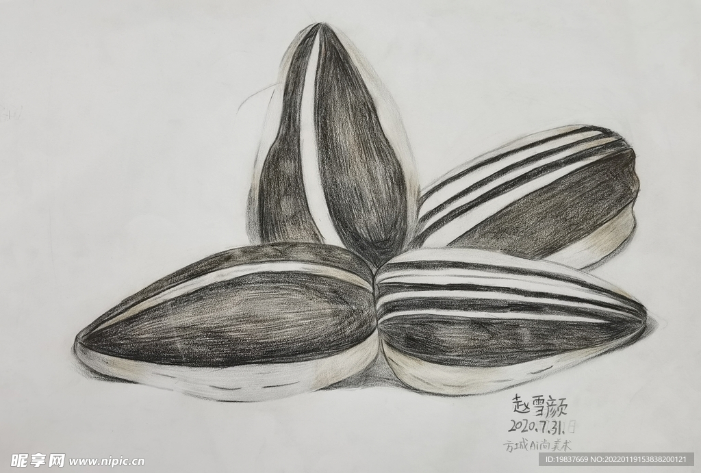 瓜子素描