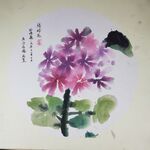 绣球花