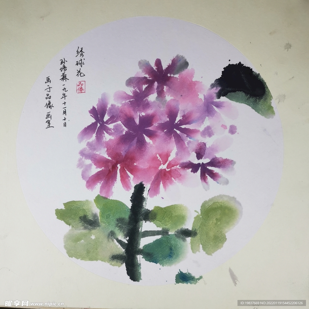 绣球花