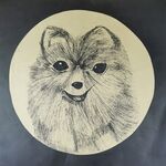 可爱的狗狗