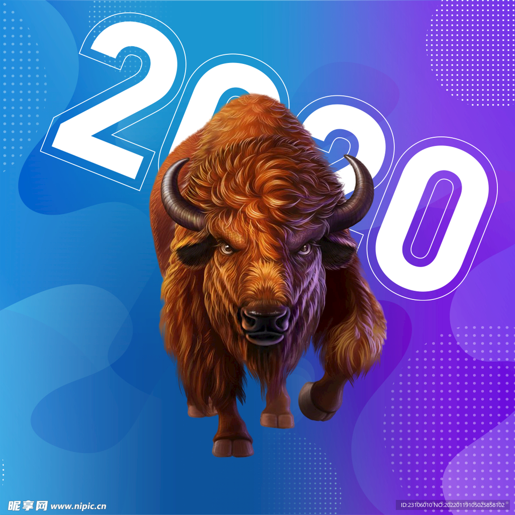 2020主图