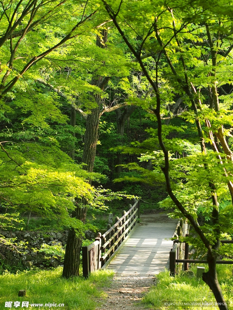 桥梁