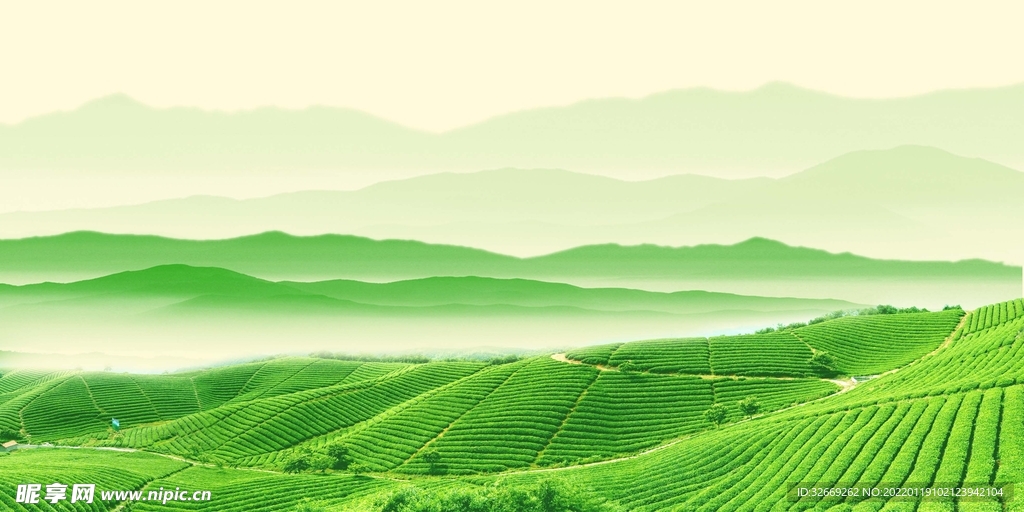 绿色背景
