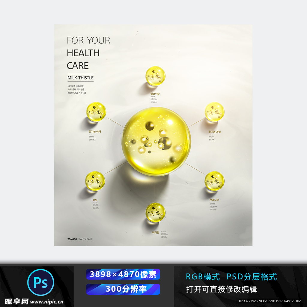 细胞合成图