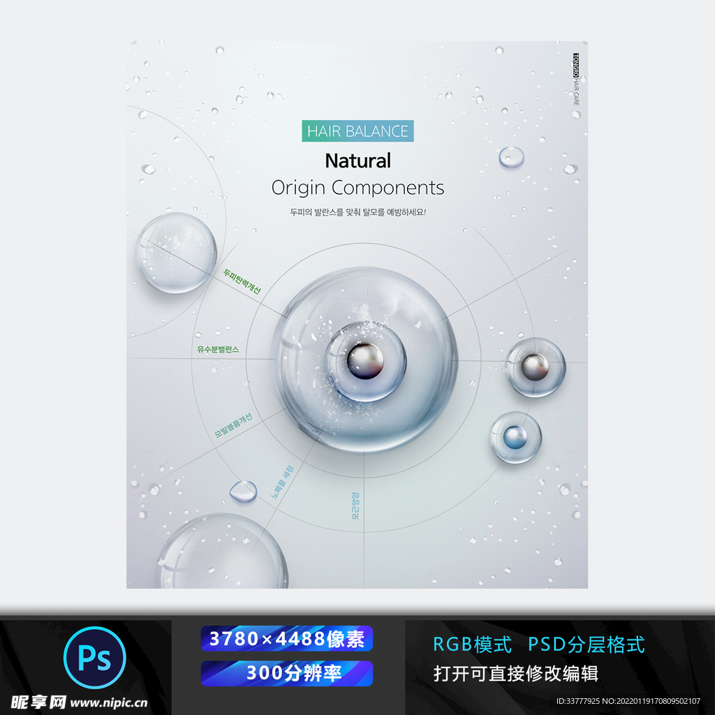 细胞 成图