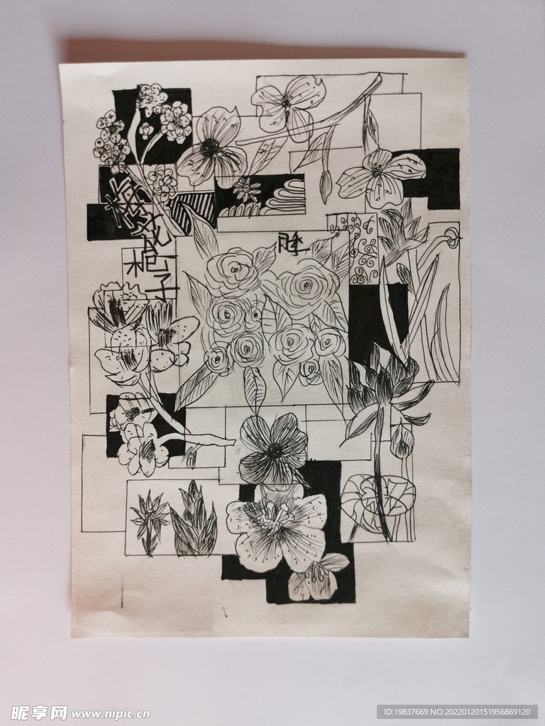 我的小花园