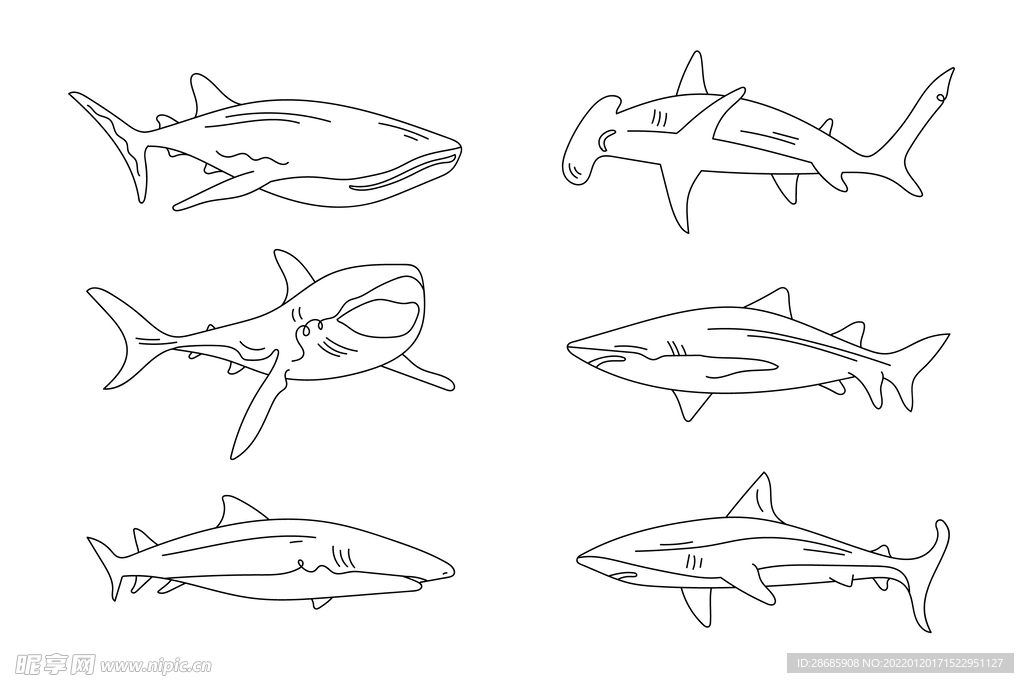 矢量动物鲨鱼线条轮廓