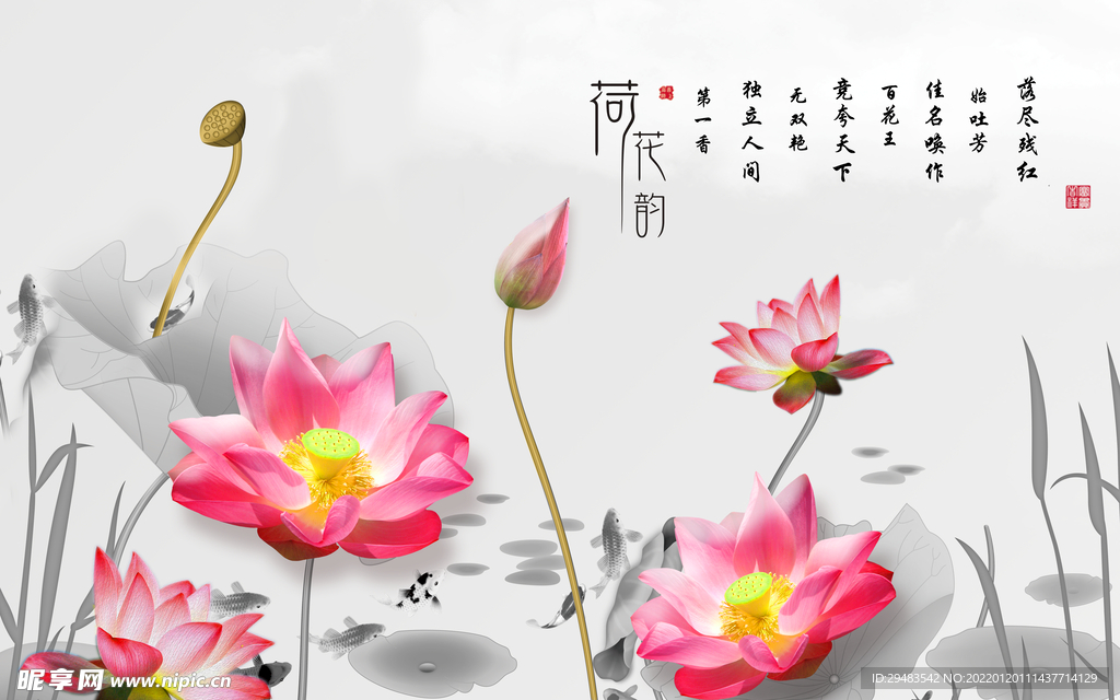 荷花