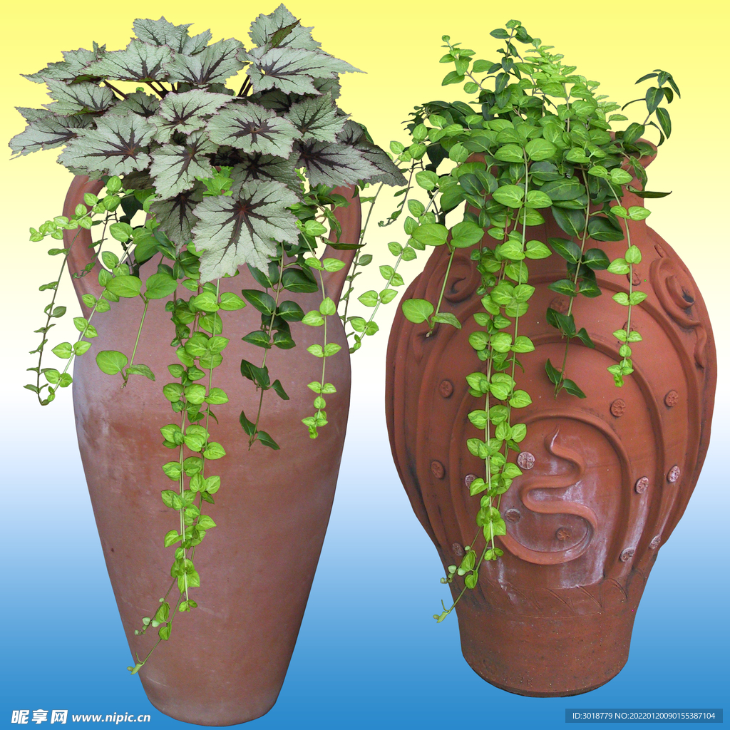 园林花坛 