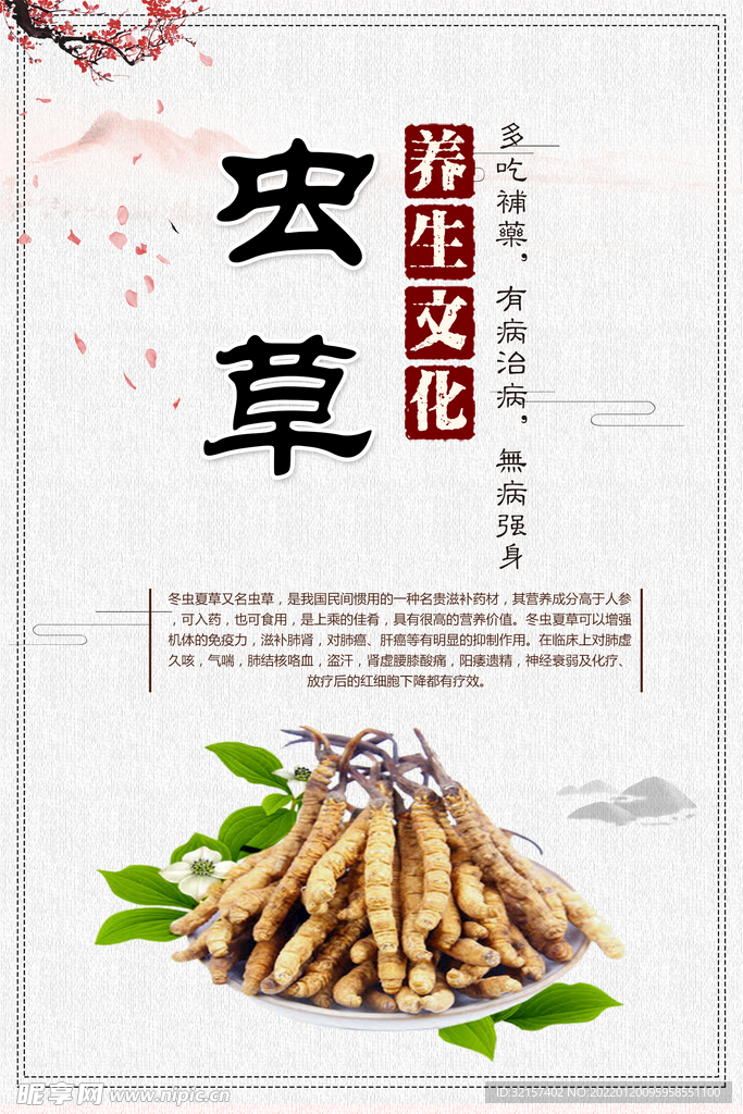 虫草