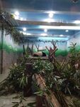 成都熊猫基地 