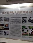 成都熊猫基地 