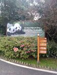  成都熊猫基地 
