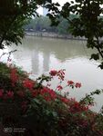 望江公园 