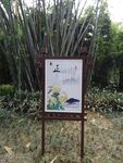 望江公园