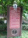 望江公园