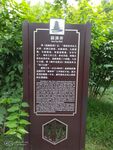 望江公园
