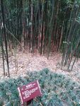 望江公园