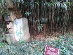 成都望江公园