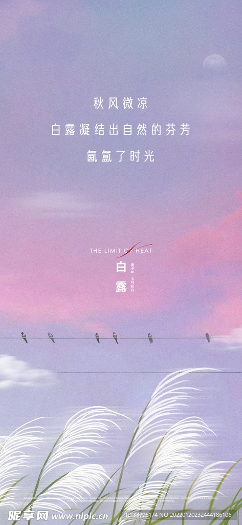 白露