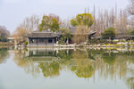 扬州瘦西湖美景