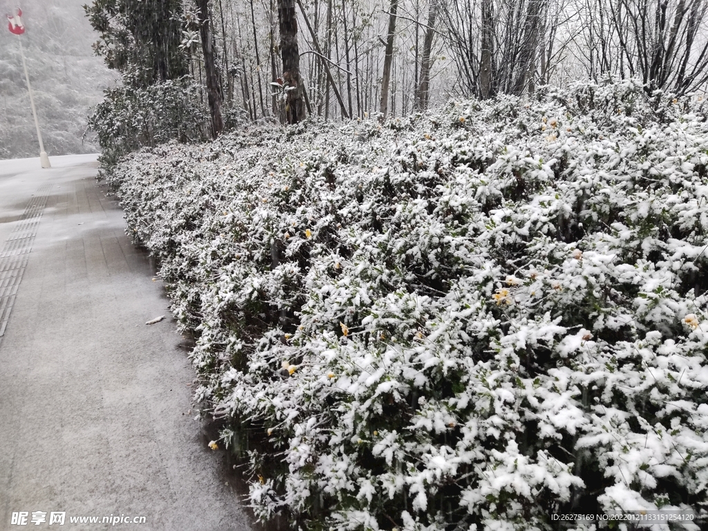 雪花坛