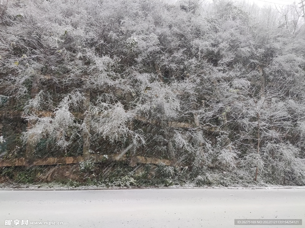 雪礼