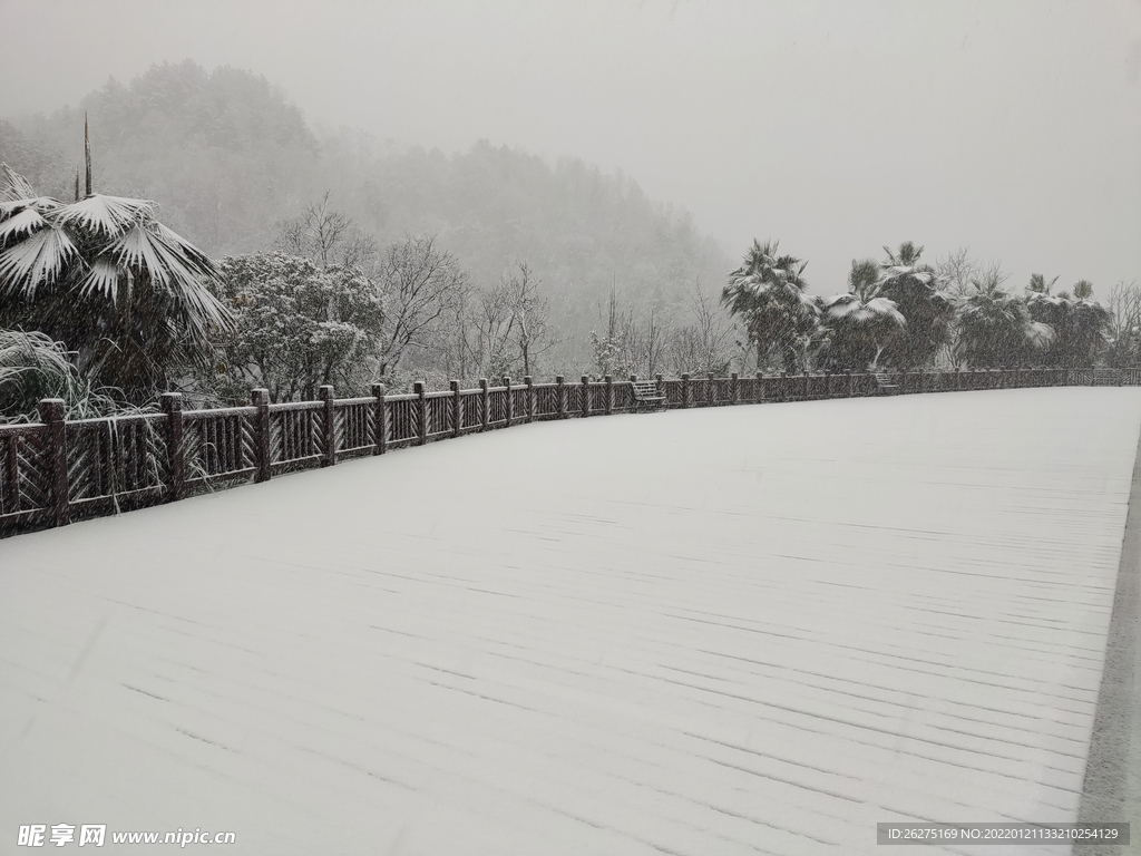 雪被