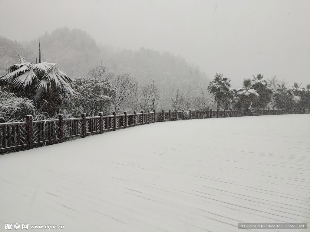 雪白雪白