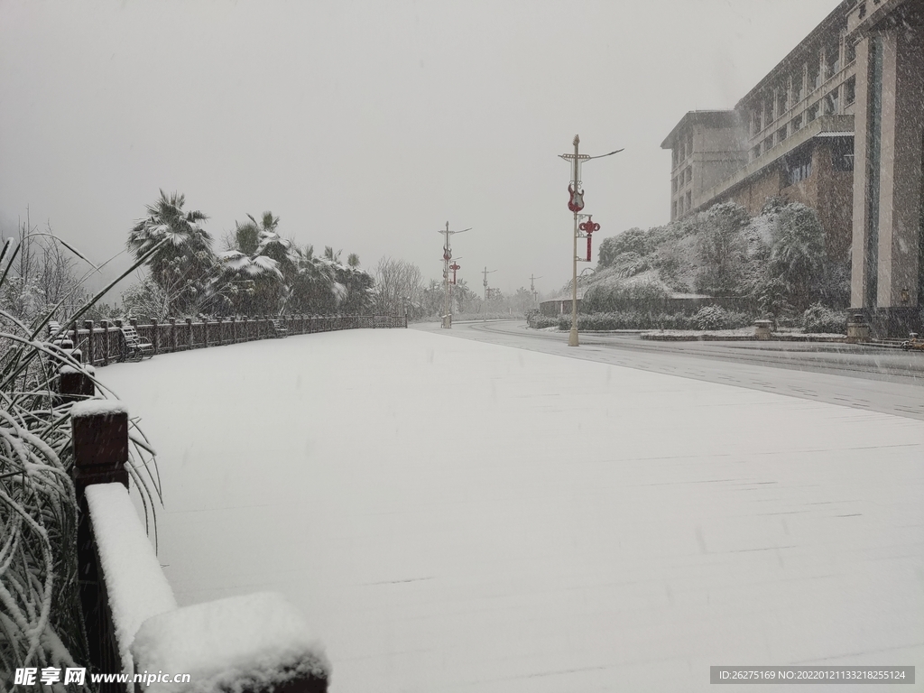 冬雪的湿地公园