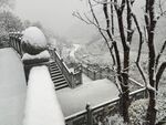 楼台盛景