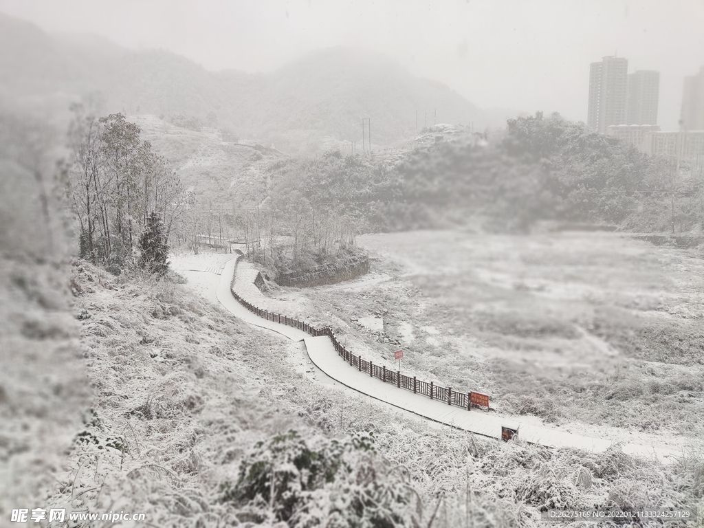 初雪