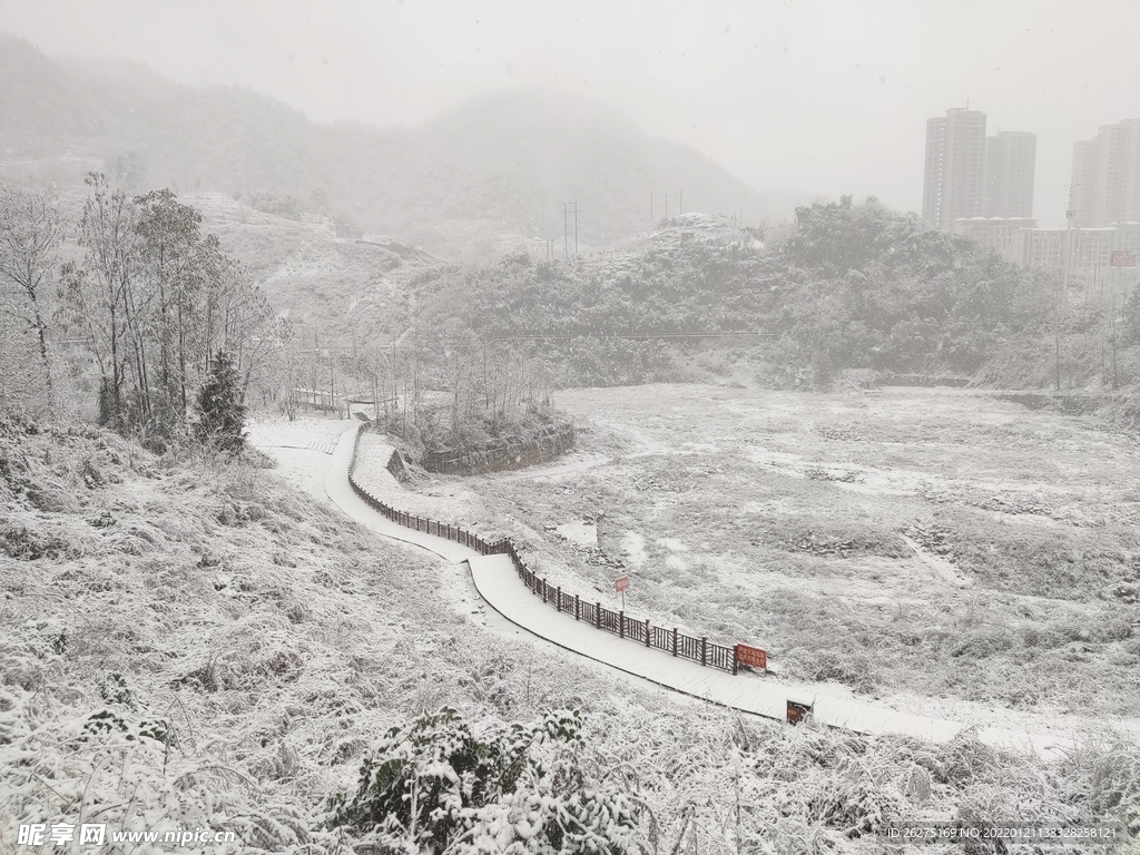 雪景