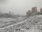 雪中小路