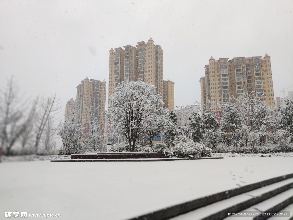 湿地公园雪景