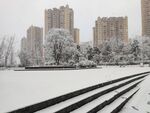 公园雪景