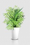 绿色植物花盆