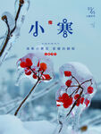 小寒