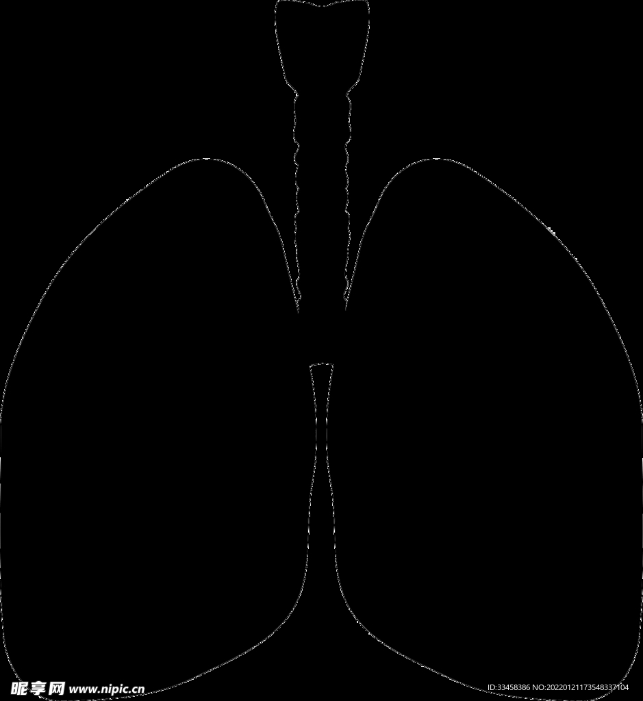 肺 