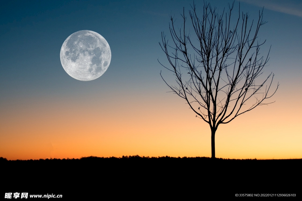 月亮树背景图
