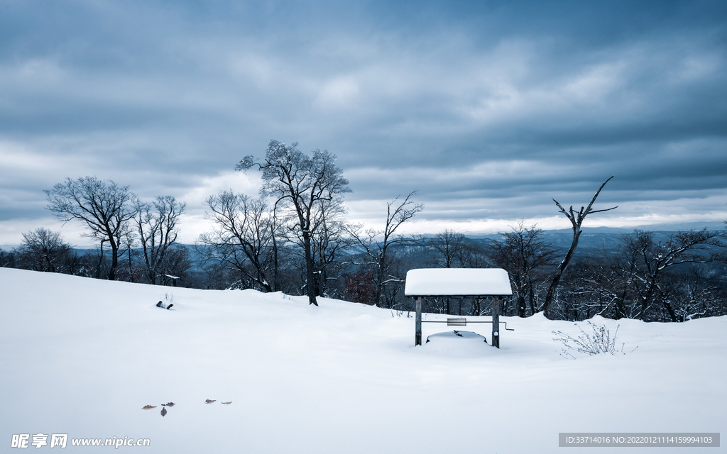 雪