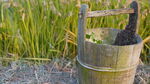 田野水桶
