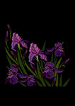 绣花花卉