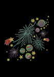 绣花宇宙